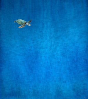 Jared Jed Kruger turtle in deep sea