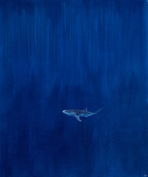 Jared Jed Kruger Whale Shark in deep ocean